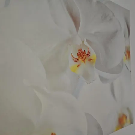 아파트 R30 - - Con Giardino 포르토레카나티
